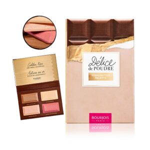 Palette Highlighter Bourjois Delice De Poudre N°01