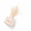 Poudre libre de maquillage "Revolution Lace" renversée, avec une dispersion de poudre beige sur un fond blanc.