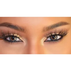 Lentilles de contact Freshtone Chestnut Brown